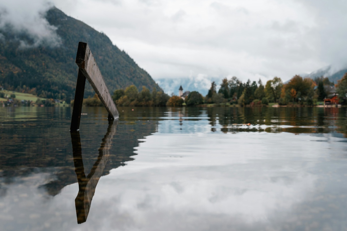 Instagram Reels: So gelingt dein viraler Content