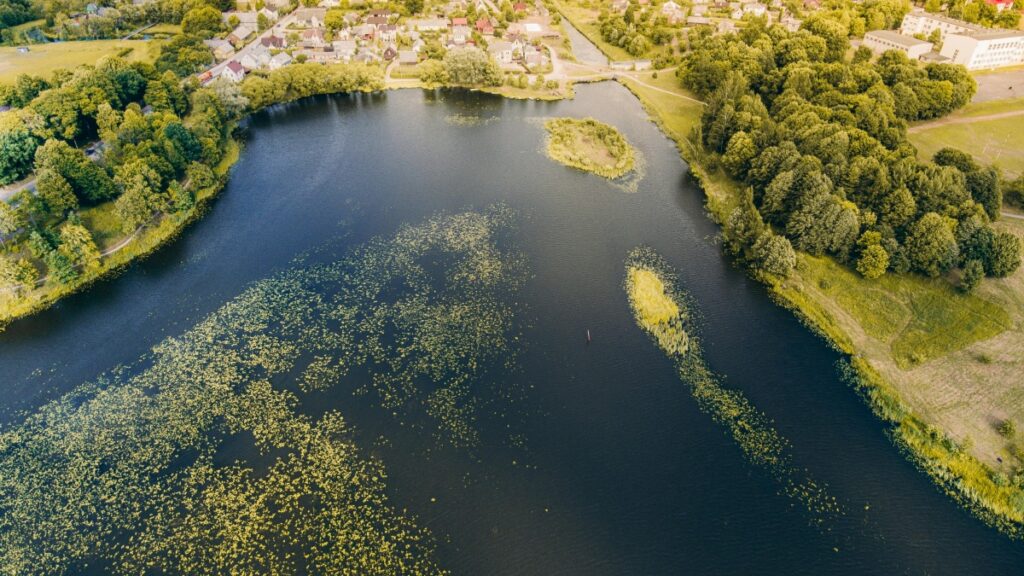 2025 Facebook Influencer Marketing für Sweden Brands in Austria