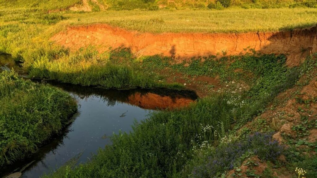 2025 Canada WhatsApp Werbepreise für österreichische Werbekunden