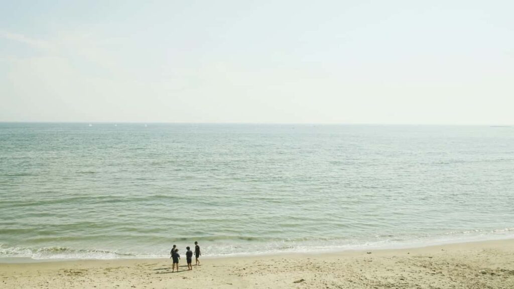 2025 Sweden Reddit Werbekostenübersicht für Österreich