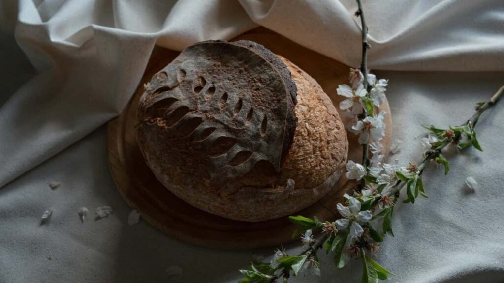 2025 Belgium WhatsApp Werbepreise und Influencer Rate Card