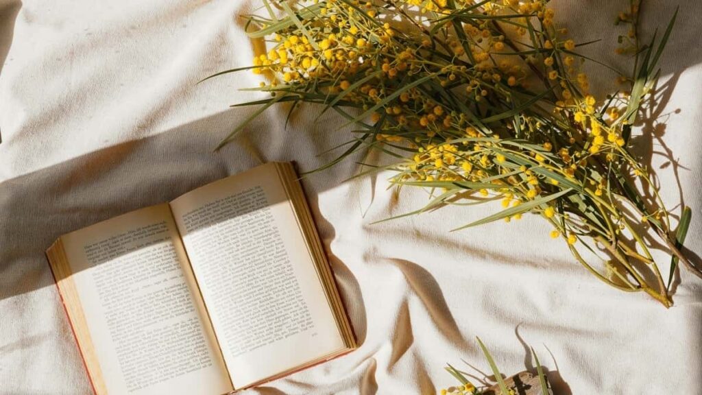 2025 Tschechien WhatsApp Werbung Kostenübersicht für Werbetreibende