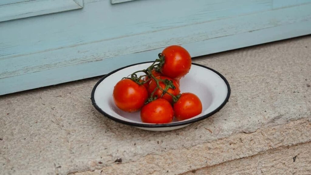 2025 Poland Instagram Full Category Advertising Rate Card für Austria