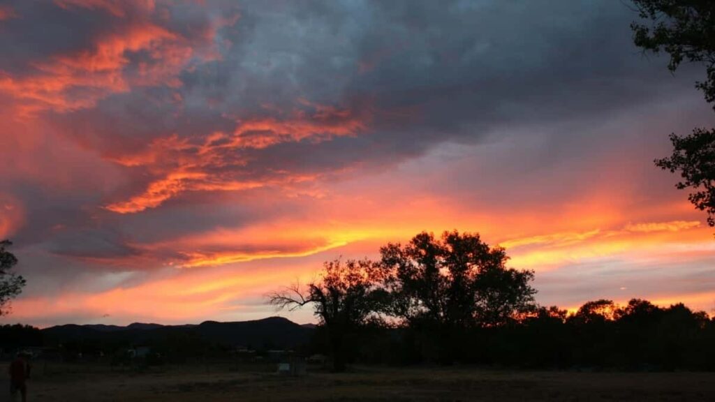 2025 Belgien WhatsApp Vollständige Werbepreise für Austria