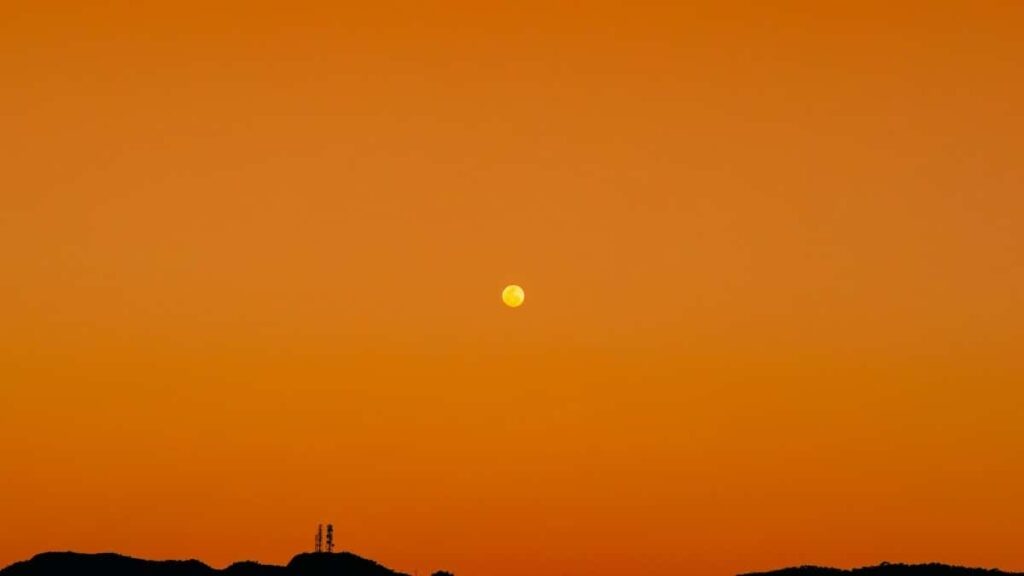 Norway Twitter Werbekosten 2025 für Österreich im Überblick