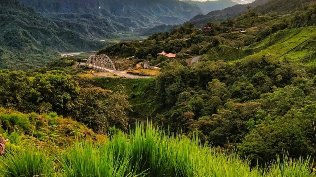 2025 Norway Reddit Werbepreise für Österreich im Überblick