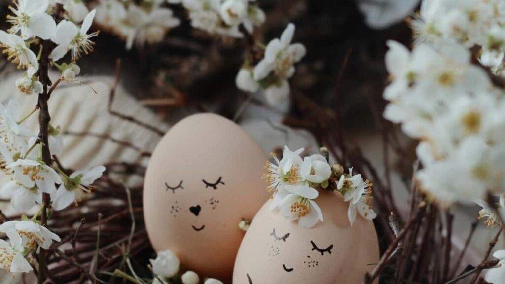 2025 Niederlande Twitter Werbung Preise für Österreich