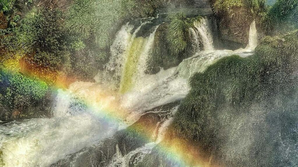 2025 Turkey Reddit Werbepreise und Kostenübersicht für Austria