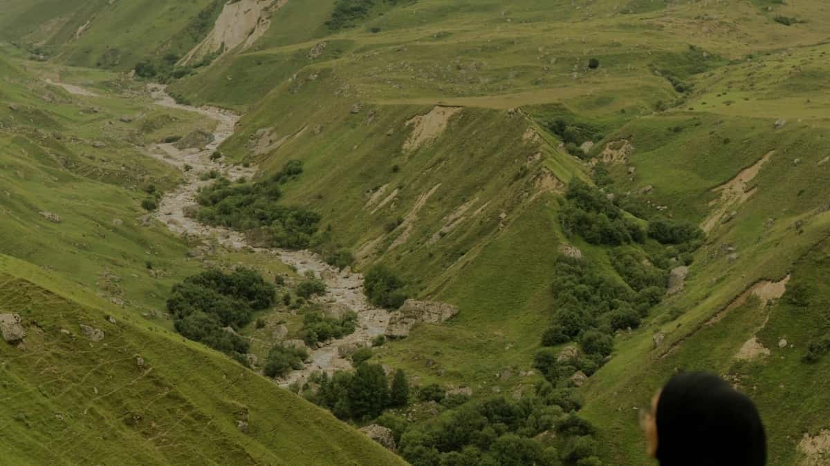 Norwegische Bilibili-Creator finden & Onlineshop richtig pushen