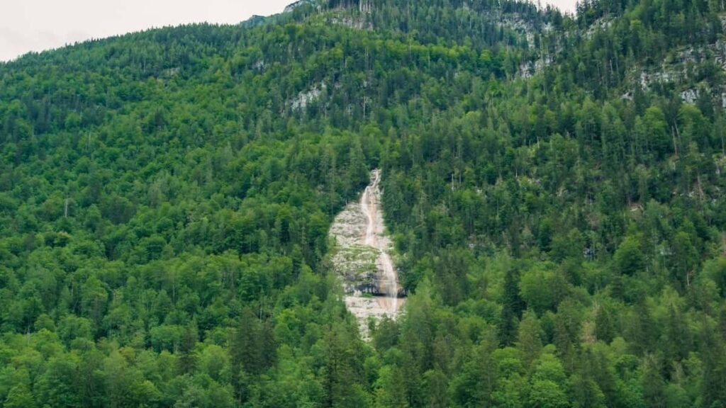 "Praktische, lokale Taktiken fur Creator in Osterreich, um deutsche Marken auf Amazon zu erreichen und regionale Produkte sichtbar zu machen inkl. Channels, Tools und Beispiele."