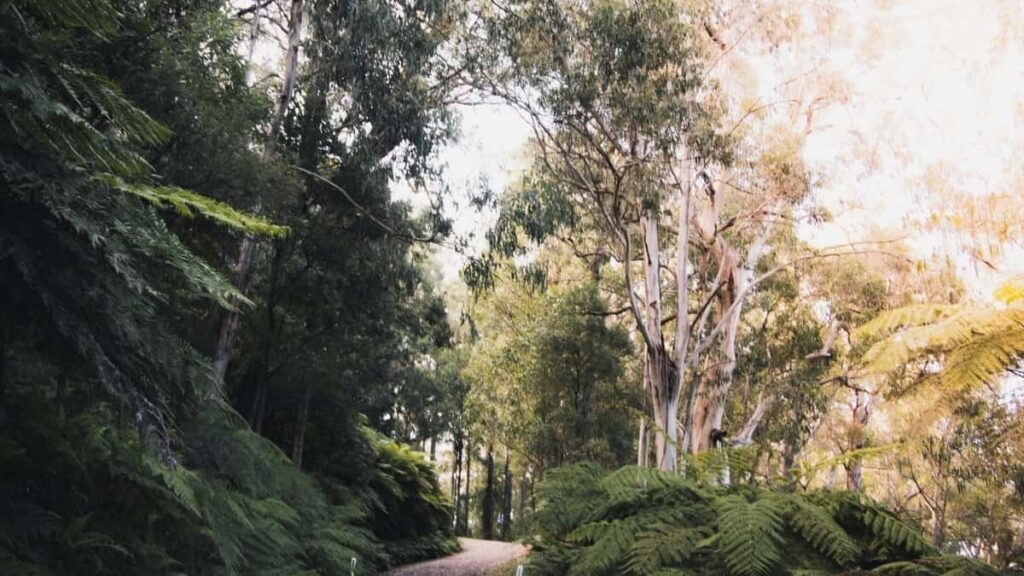 Tipps fur osterreichische Werbetreibende, wie man US-Facebook-Creators findet und Produkt-Sichtbarkeit steigert.