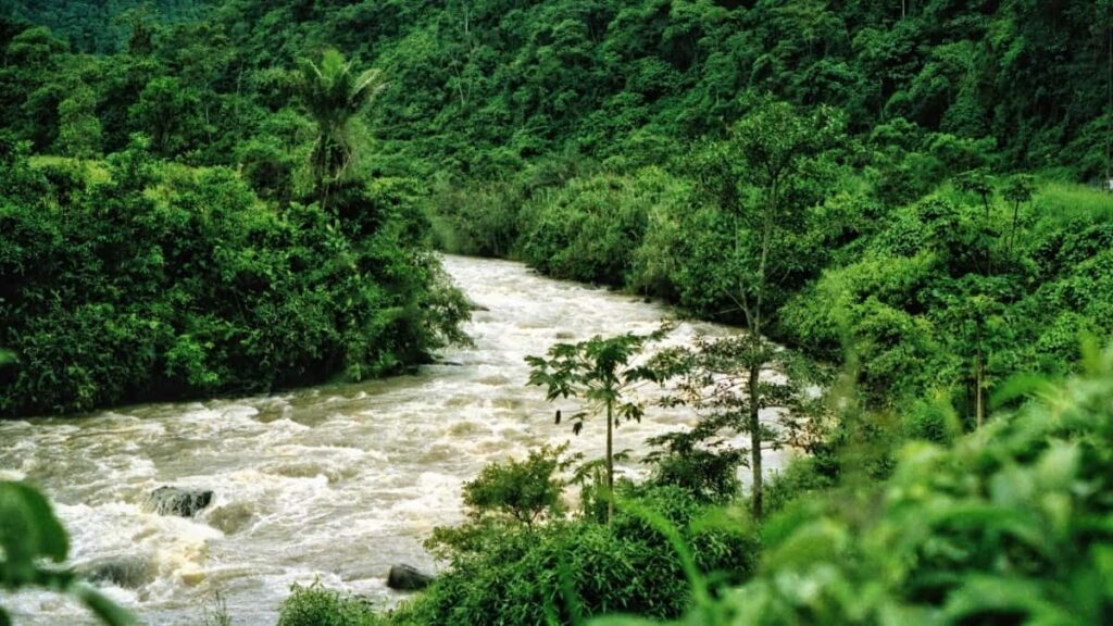 Praxisguide fur osterreichische Advertiser: wie man sudkoreanische KakaoTalk-Creator findet, auswahlt und fur Mobile-Game-Launches nutzt inkl. Outreach-Checklist und Privacy-Tipps.