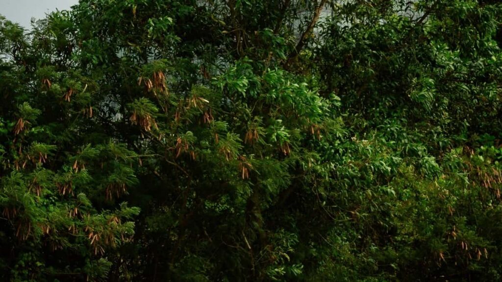 Praktische Anleitung fur osterreichische Creator: Wie du USBrands uber VKontakte kontaktierst, LongFormReviews platzierst und dabei Chancen, Risiken und Tools smart nutzt.