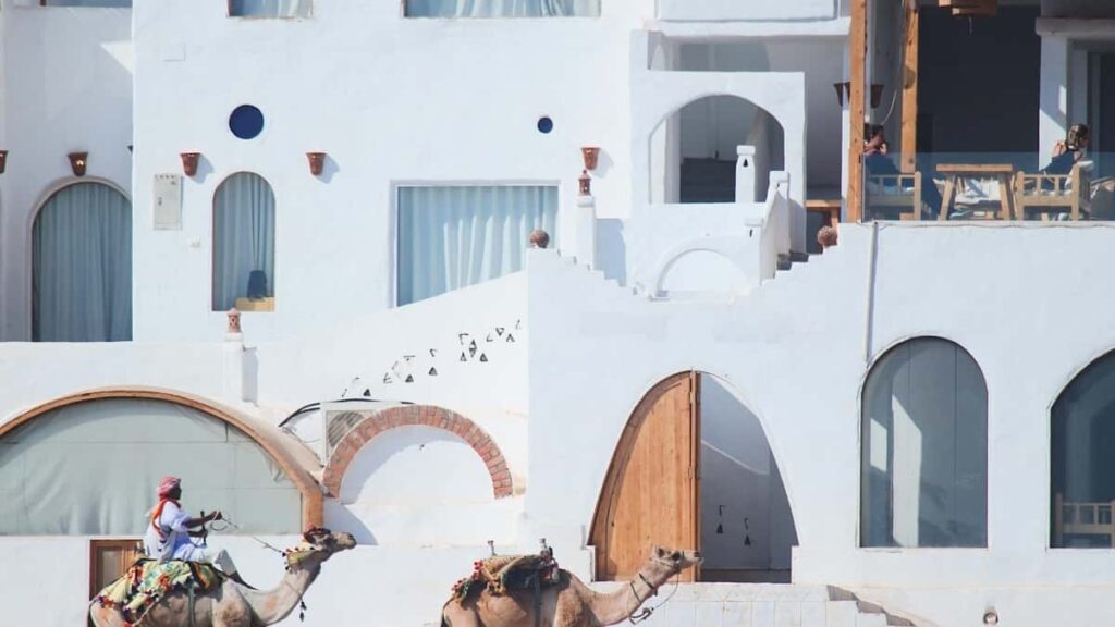 Praktischer Leitfaden fur osterreichische Advertiser: wie man russische Creator auf Line/Telegram fur Livestreampromotion findet, anspricht und rechtssicher integriert.