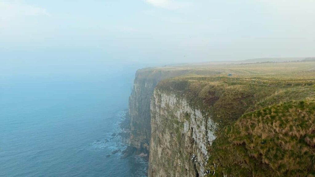 Praktische Taktiken fur osterreichische Creator: wie du franzosische EtsyShops kontaktierst, FollowupContent planst und Fans langfristig bindest mit konkreten Kanalen und CommunityTaktik.