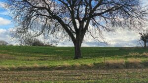 Praxis-Guide fur osterreichische Advertiser: wie man algerische Creator auf Bilibili findet, bewertet und fur neue Nahrungserganzungs-Lines aktiviert inklusive Datenschutz-, Compliance- und Outreach-Blueprints.