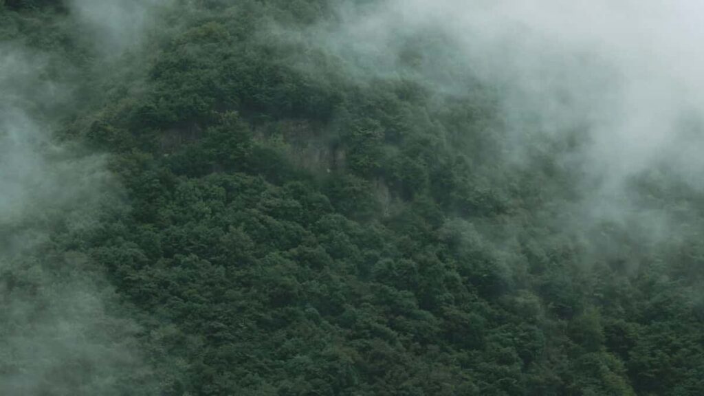 Praktischer Leitfaden fur osterreichische Creator: wie du niederlandische WellnessBrands auf Snapchat ansprichst, Kampagnen pitchst und langfristige Kooperationen aufbaust.