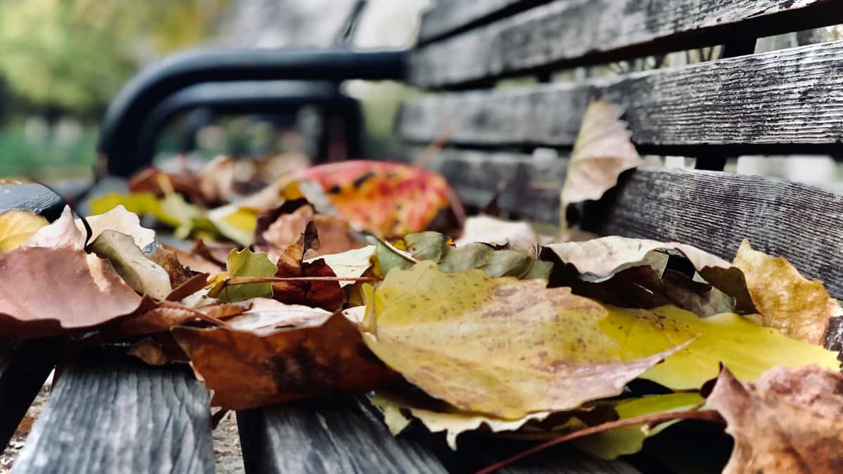 Creators in AT: Marken in Nordmazedonien auf Twitter erreichen — schnell & direkt