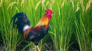 Praktischer Guide fur osterreichische Creator: Wie du estnische Marken auf Hulu ansprichst, BetaLaunches bekommst und echte Kooperationen klarmachst.