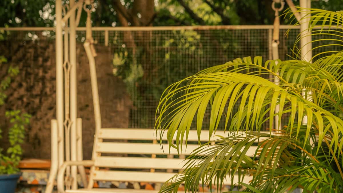 Creator aus Österreich: Singapur‑Marken auf Amazon erreichen