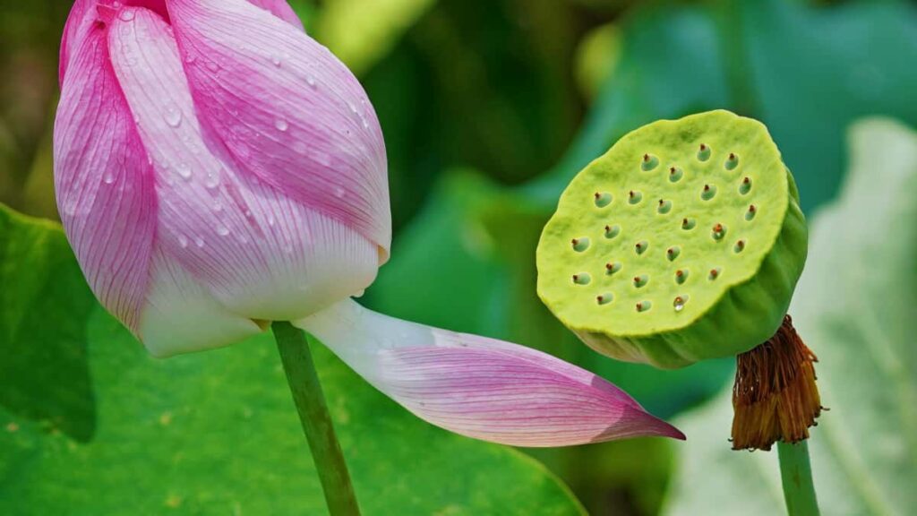 Praktische Anleitung fur osterreichische Creator: wie du ecuadorianische Marken auf Twitch fur kurze Branded-Videos gewinnst Preise, Outreach-Taktiken, und Vertrags-Checks.