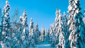 Praxisleitfaden fur Creator in Osterreich: Wie du indische Brands auf Xiaohongshu findest, kontaktierst und uberzeugende TestimonialVideos drehst mit echten Taktiken, PlattformInsights und rechtlichen Dos & Donts.