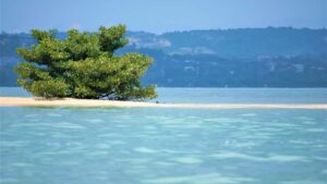 Praktischer Leitfaden fur osterreichische Werber: wie man Pakistan-basierte Threads-Creator fur eSports-Kampagnen identifiziert, bewertet und sicher anspricht.