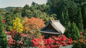 Praktischer Leitfaden fur osterreichische Advertiser: so findest du serbische FacebookCreator fur EsportsKampagnen, inkl. Tools, OutreachSkripts und Rechtliches.