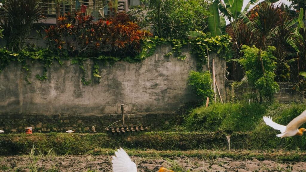 Konkrete Schritte fur osterreichische Creator, wie du belgische Marken auf Amazon kontaktierst, Unboxing- und Testimonial-Clips drehst und lukrative Kooperationen abschliesst.